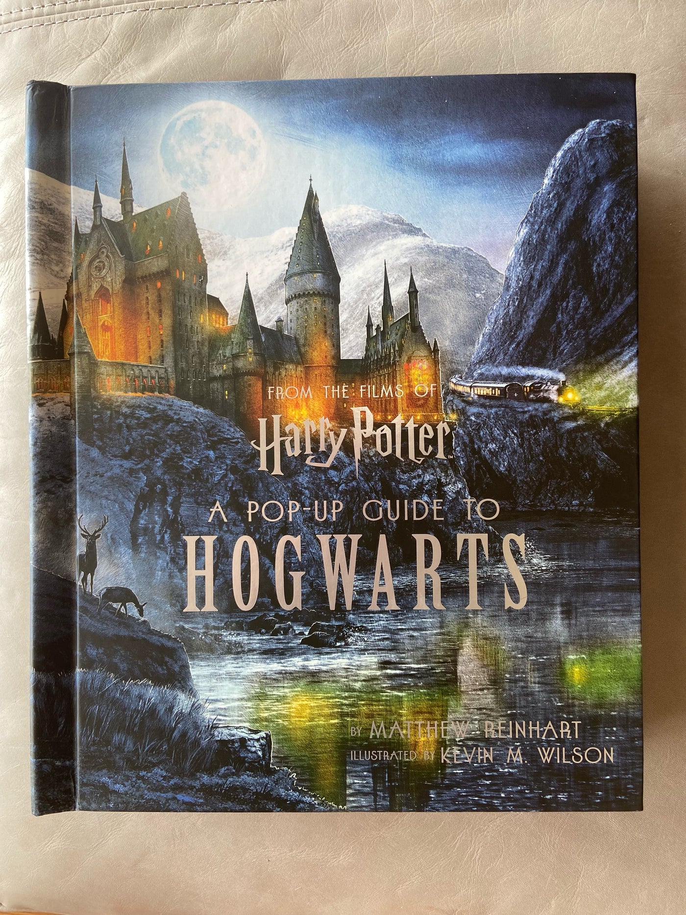 Harry Potter Pop Up Book – LD Linens & Decor